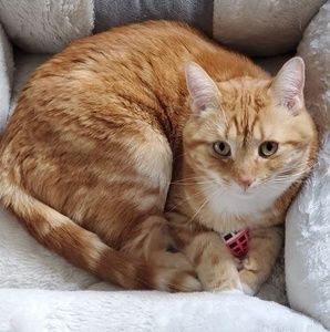 Meet your Posher, Gina